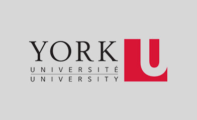 約克大學