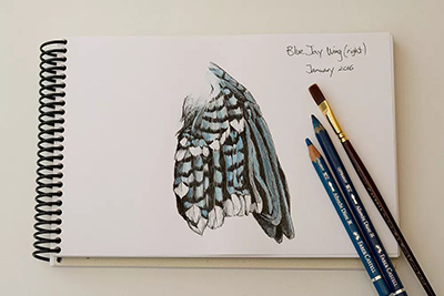 繪畫基礎(chǔ)sketchbook