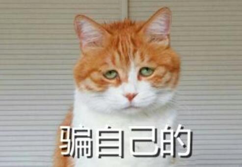 作品集排版模板教學(xué)
