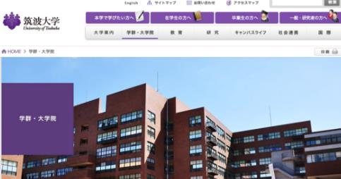 筑波大學藝術系