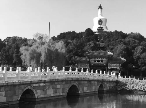 Xiao同學(xué)實地調(diào)研圖片