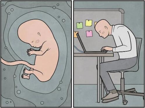 插畫作品